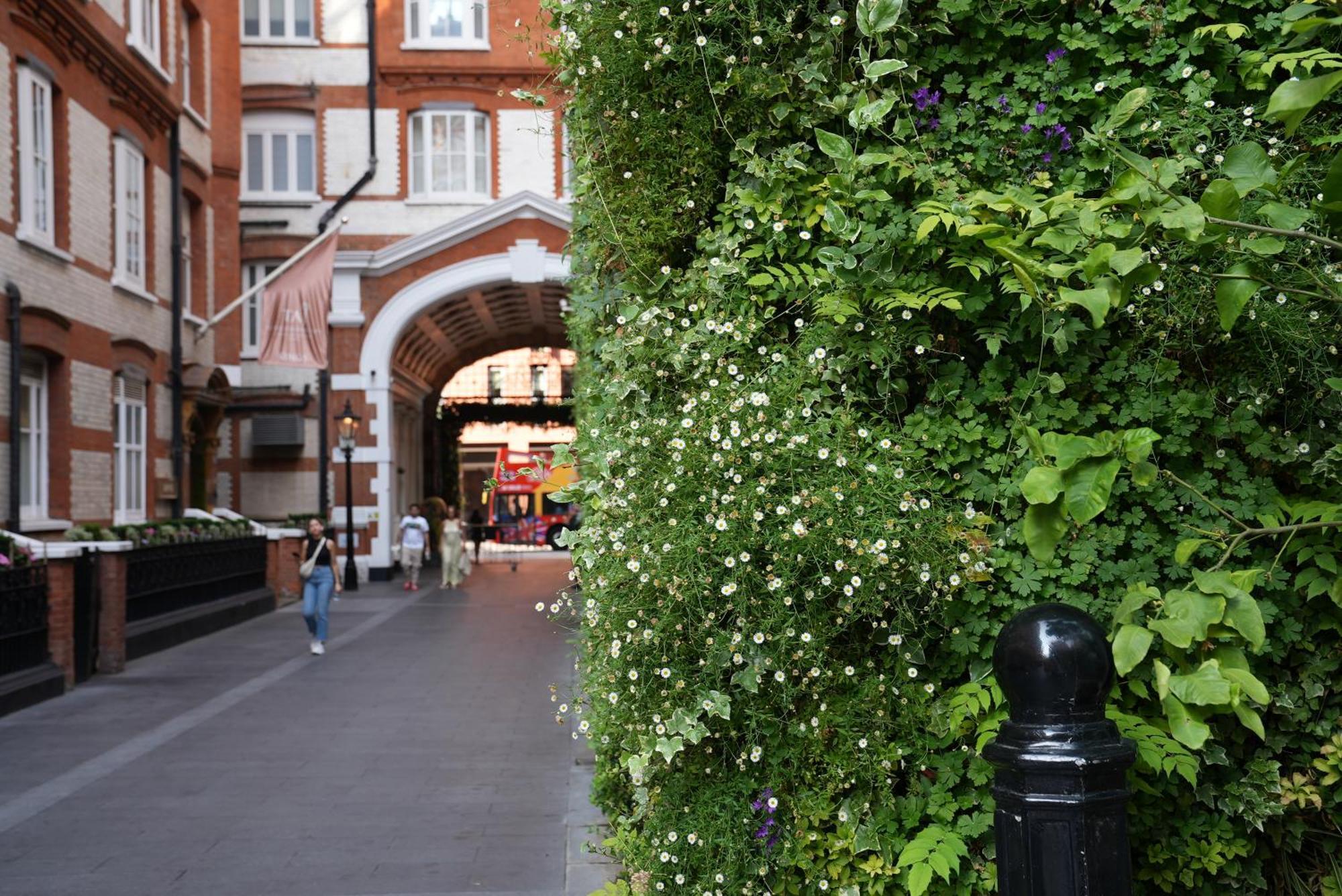Taj 51 Buckingham Gate Suites And Residences London Exterior photo